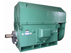 凉州Y系列6KV高压电机